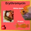 Erythromycin for fish dropsy