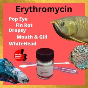 Erythromycin Aquarium Care 20g