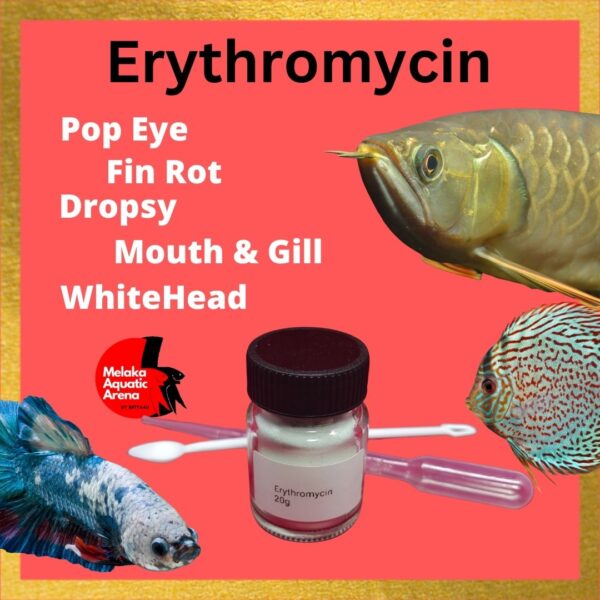 Erythromycin for fish curing