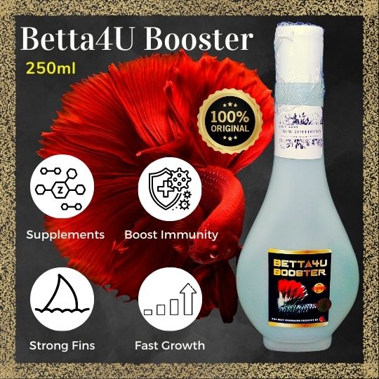 Betta4U Booster 250ml