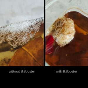 Before and after booster