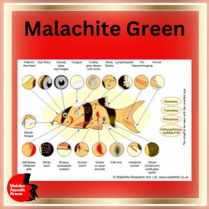 Malachite Green Product for fish disease curing