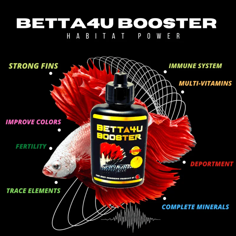Kandungan Betta4u Booster 40ml