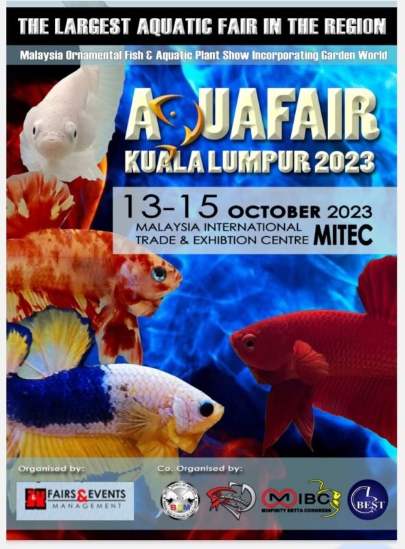 Aquafair International Betta Show 2023 1 Aquafair International Betta Show 2023