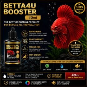 Betta4U Booster 40ml