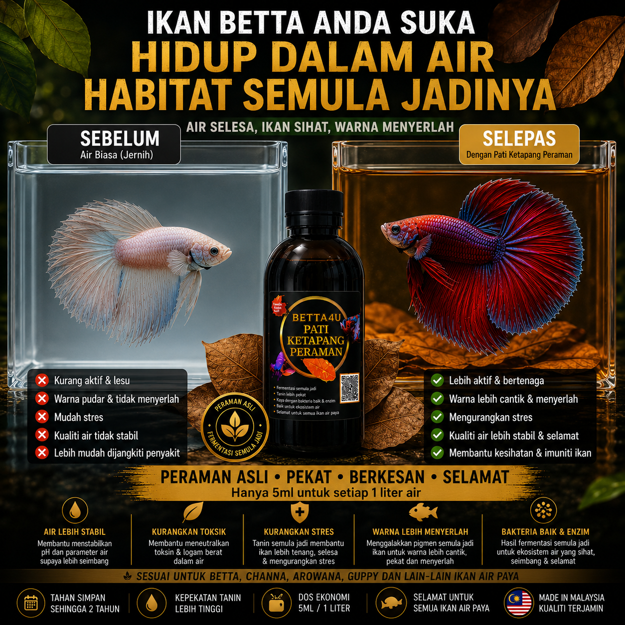 Indian-Almond (Terminalia catappa) Ketapang Leaf Extract: Pati Ketapang Peraman - Image 12