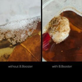 Genuine Betta4U Booster 40ml. Elevate Every Splash with Unrivaled Betta Brilliance! 14 Betta4U Booster 40ml