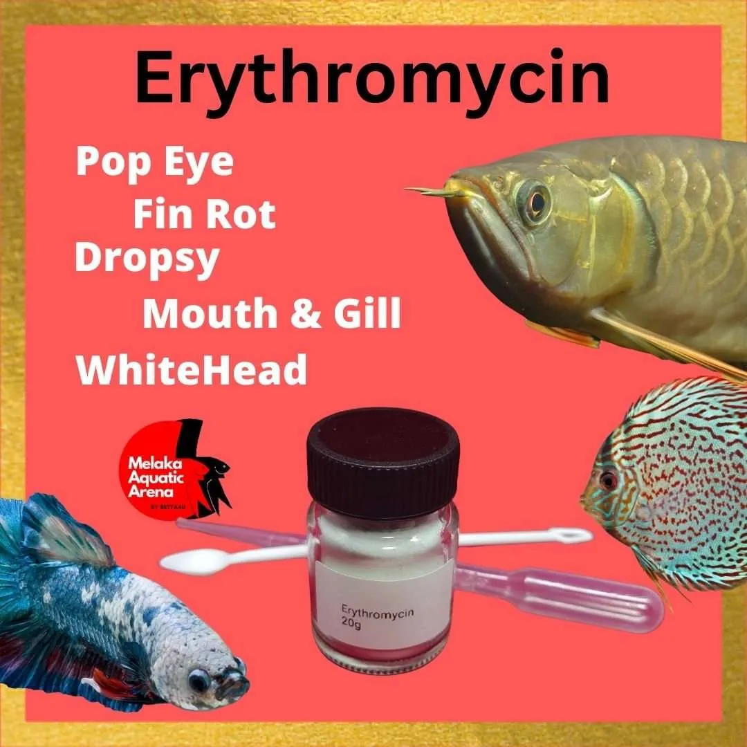 Erythromycin Aquarium Care 20g- Most Popular In Aquarium and Hatcheries - Image 2