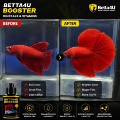 Genuine Betta4U Booster 40ml, Betta Booster, Betta Fish Vitamins, Betta Fish Minerals, Betta Fish Supplement, Betta Grooming Product, Healthy Betta Fish, Betta Water Conditioner