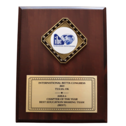 IBC Chapter of the Year 2023