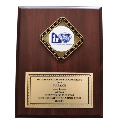IBC Chapter of the Year 2023