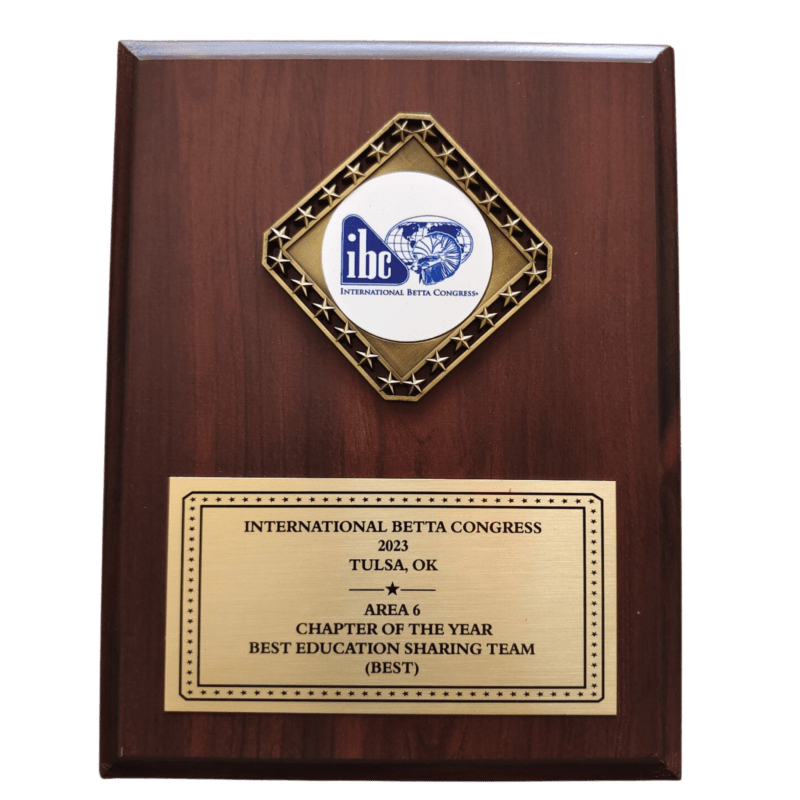 IBC Chapter of the Year 2023