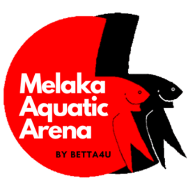 Melaka Aquatic Arena Splendor Fin and Tail Passion
Contact us MAA