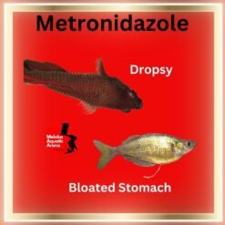 Metronidazole for Fish: A Comprehensive Guide 20g 7 Metronidazole for Fish: A Comprehensive Guide