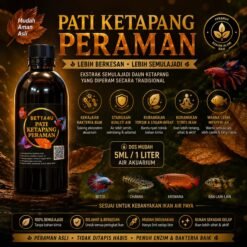 Ketapang leaf extract Pati Ketapang Peraman