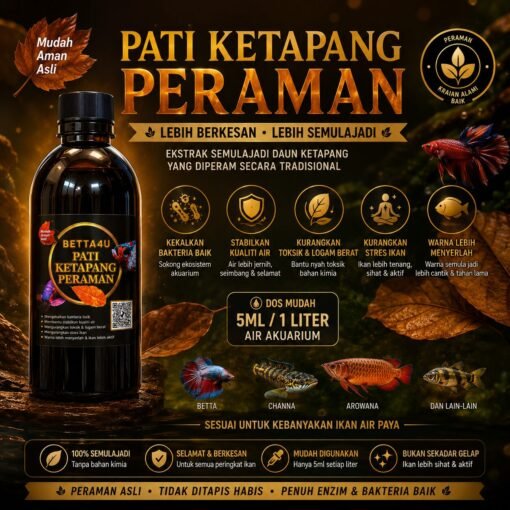 Ketapang leaf extract Pati Ketapang Peraman