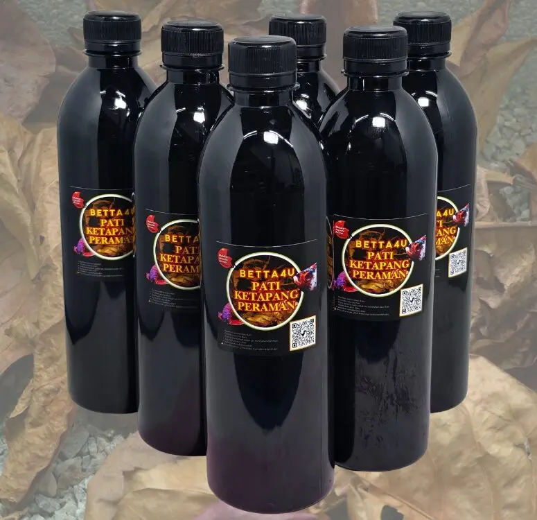 Ketapang leaf extract Pati Ketapang Peraman