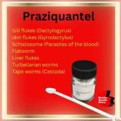 Praziquantel for Fish - Ultimate Parasite Solution 9 Praziquantel