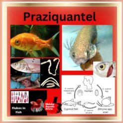 Alternative view of Praziquantel for Fish - Ultimate Parasite Solution