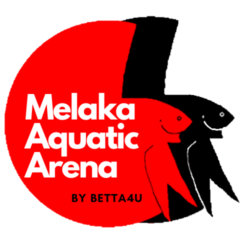 Aquatic Shop for fin and tail passion Marketplace Melaka Aquatic Arena shop 