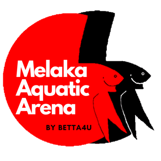 Aquatic Shop for fin and tail passion Marketplace Melaka Aquatic Arena shop