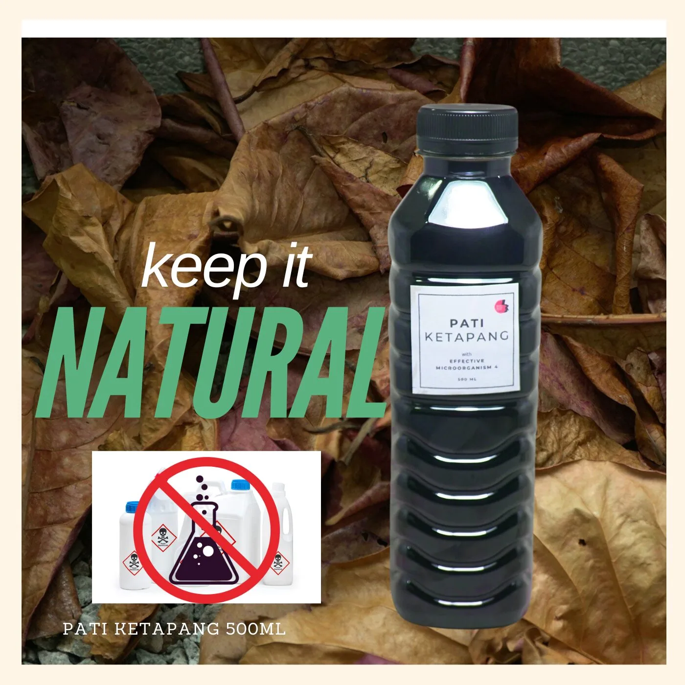 Ketapang leaf extract