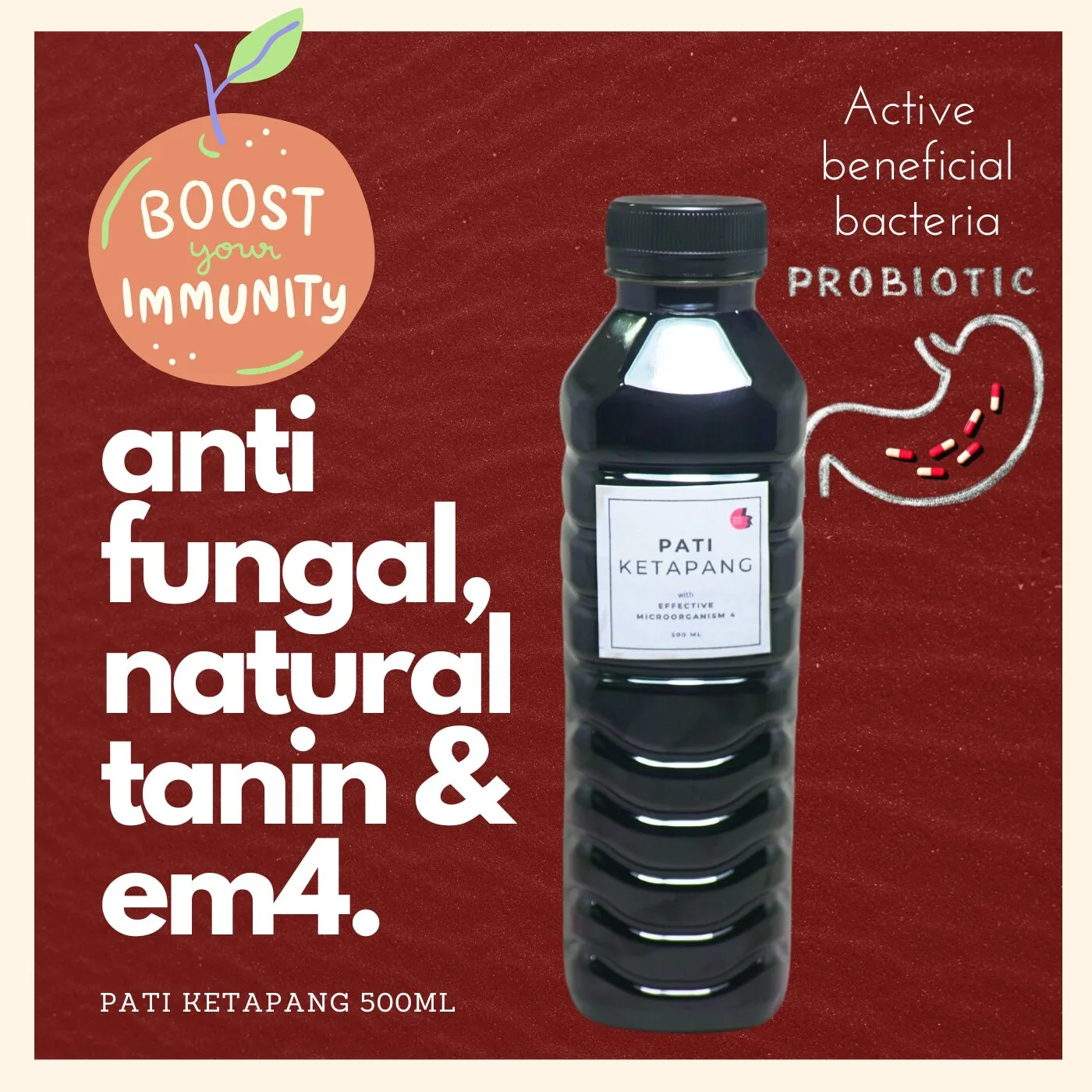 Ketapang leaf extract Pati Ketapang Peraman