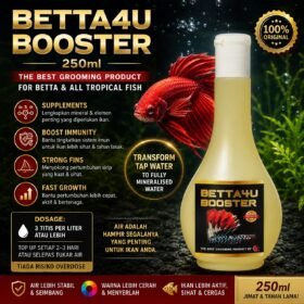 Betta4U Booster 250ml Betta Booster Betta Grooming