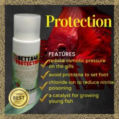 Betta4U Protecction