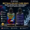 What Is Velvet Disease. Betta fish infected with Velvet Disease Gold dust appearance on betta fish Clamped fins caused by Velvet Disease Healthy betta fish after Velvet Disease treatment Symptoms of Velvet Disease in betta fish.