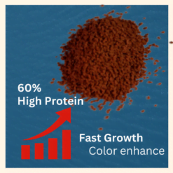 Fishy Bits Micropellets 1kg for Tropical Fish - Nutrient-Rich, High Protein, DHA Enhanced Food - Promotes Growth & Vibrant Coloration 7 Fishy Bots 60g FB300 Micropellet