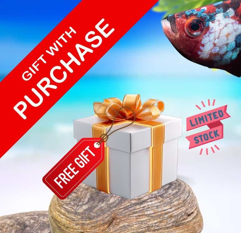 Unleash Brilliance with Betta4U Booster 100ml: The Ultimate Grooming Solution 8 Free Gift with Purchase