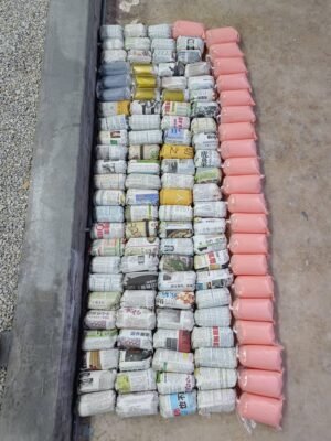 News Update: Celebrating a Milestone in Betta4U Fish Farm's Journey on Betta Fish Export 2 china delivery