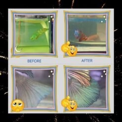 Alternative view of Groom Setting Kuat 250ml GSK. Water Conditioner for Splenden