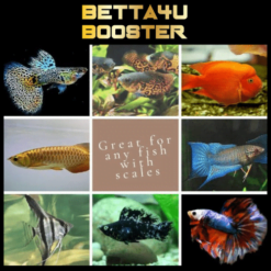 Betta4u Booster 100ml