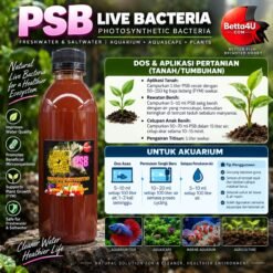 PSB Live Bacteria Simple-to-understand guide on how and when to use photosynthetic bacteria dosage.Betta4U PSB Live Bacteria 500ml for freshwater and saltwater aquariums