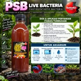 PSB Live Bacteria Simple-to-understand guide on how and when to use photosynthetic bacteria dosage.Betta4U PSB Live Bacteria 500ml for freshwater and saltwater aquariums