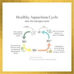 PSB Live Bacteria photosynthetic bacteria