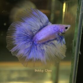 photo 2023 12 09 19 19 45