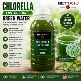 Chlorella Green Water Culture Bundle Set 5 in 1 by Betta4U Complete Chlorella Green Water Starter Kit for Moina Culture Premium Green Water Culture Bundle Malaysia Chlorella Starter Culture for Fish Breeders Green Water Culture Ingredients by Betta4U Rice Bran EM4 Dolomite NPK Chlorella Bundle Green Water Kit for Daphnia and Moina Culture Live Chlorella Culture Bundle Set Aquaculture Green Water Starter Kit Betta4U Chlorella Green Water Culture Bundle