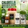 Chlorella Green Water Culture Bundle Set (5-in-1) | Complete Green Water Starter Kit for Moina & Daphnia 2 hlorella Green Water Culture Bundle Set 5 in 1 by Betta4U Complete Chlorella Green Water Starter Kit for Moina Culture Premium Green Water Culture Bundle Malaysia Chlorella Starter Culture for Fish Breeders Green Water Culture Ingredients by Betta4U Rice Bran EM4 Dolomite NPK Chlorella Bundle Green Water Kit for Daphnia and Moina Culture Live Chlorella Culture Bundle Set Aquaculture Green Water Starter Kit Betta4U Chlorella Green Water Culture Bundle