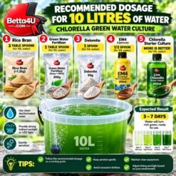 Chlorella Green Water Culture Bundle Set 5 in 1 by Betta4U Complete Chlorella Green Water Starter Kit for Moina Culture Premium Green Water Culture Bundle Malaysia Chlorella Starter Culture for Fish Breeders Green Water Culture Ingredients by Betta4U Rice Bran EM4 Dolomite NPK Chlorella Bundle Green Water Kit for Daphnia and Moina Culture Live Chlorella Culture Bundle Set Aquaculture Green Water Starter Kit Betta4U Chlorella Green Water Culture Bundle