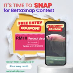 BettaSnap Online Photography Contest