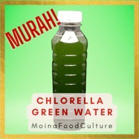 Chlorella Green Water Culture Bundle Set