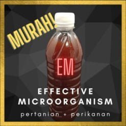 EM4 Effective microorganism no. 4