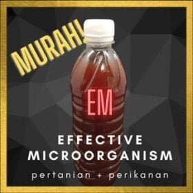 EM4 Effective microorganism no. 4