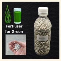 Chlorella Green Water Culture Bundle Set