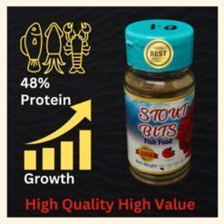 Chlorella Green Water Culture. Bundle Set Stout Bits 60g. Betta4U betta fish products for healthy fish care