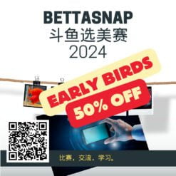 BettaSnap Contest Early Bird discount
