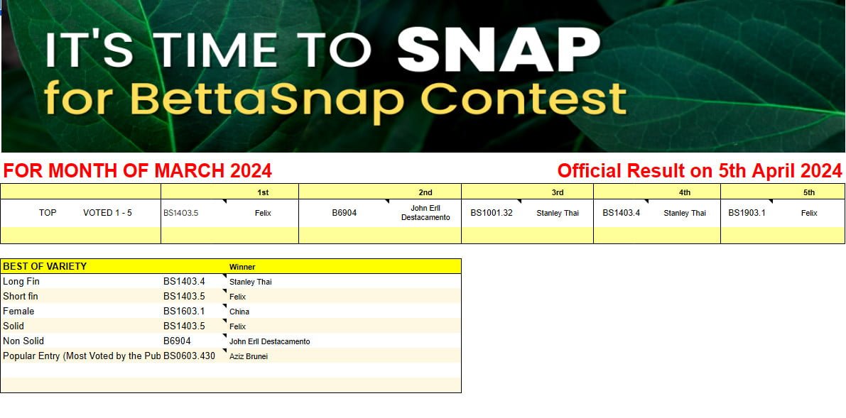 Official Results of BettaSnap Contest March 2024